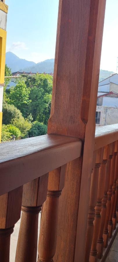 Apartamentos El Pigazu Cangas de Onis Ngoại thất bức ảnh